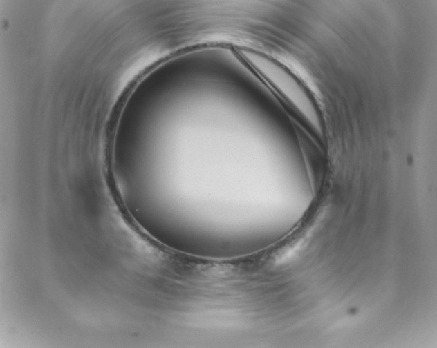 X0000088840991200706071415