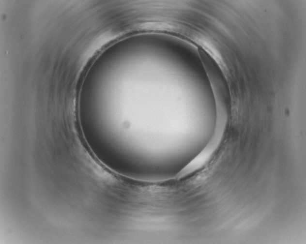 X0000088840992200706071415