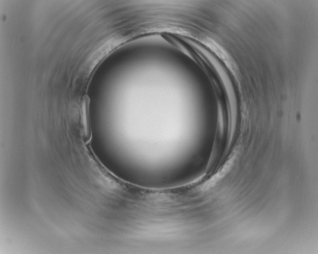 X0000088840993200706071415