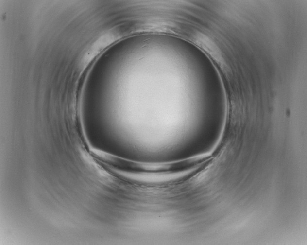 X0000088840994200706071415