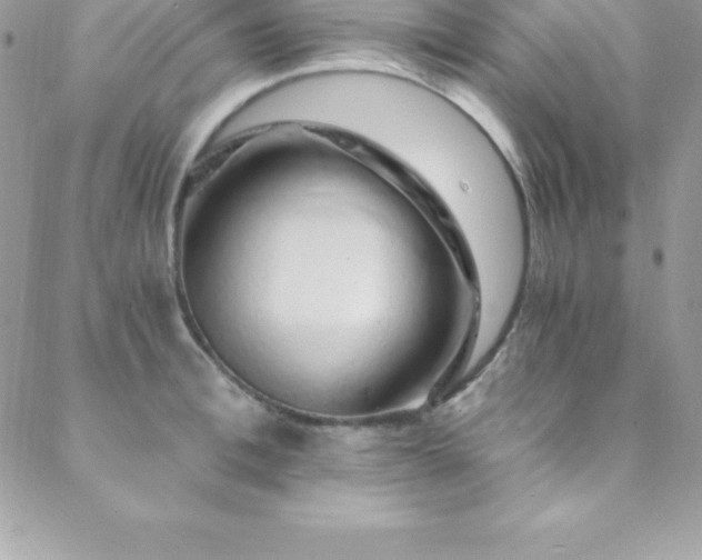 X0000088840996200706071415