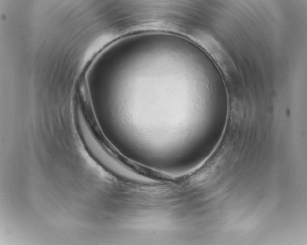 X0000088840998200706071415