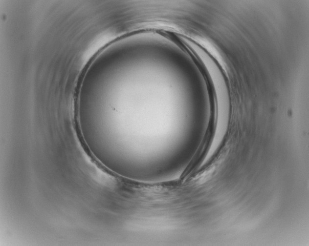 X0000088840999200706071415