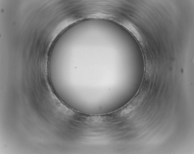 X0000088841000200706071415