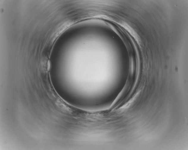 X0000088841001200706071415