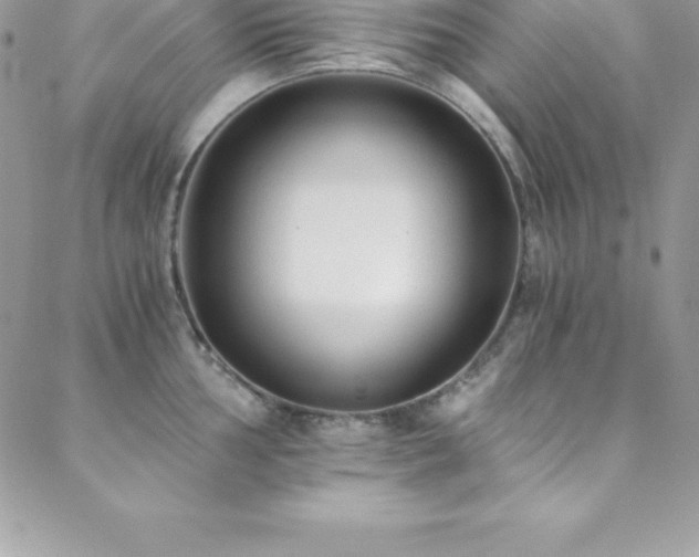 X0000088841002200706071415