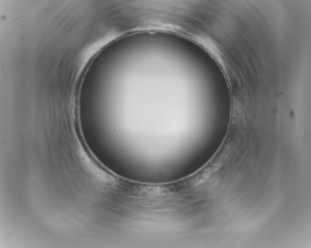 X0000088841003200706071415