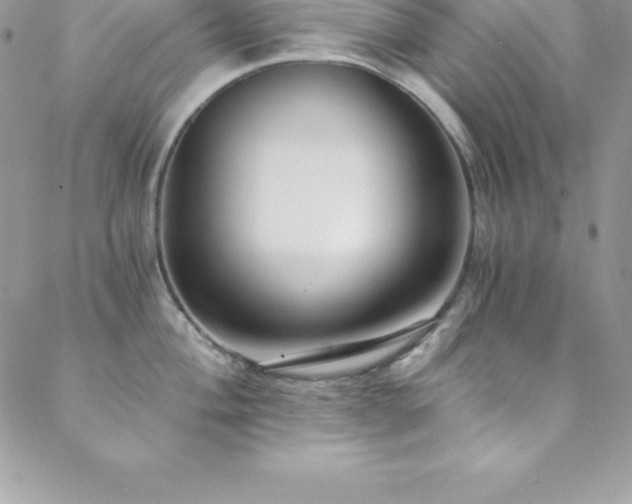 X0000088841004200706071415