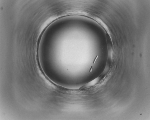 X0000088841005200706071415