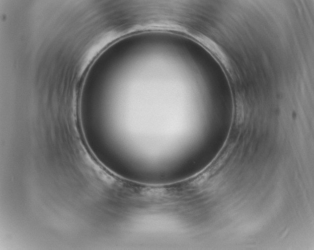 X0000088841006200706071415