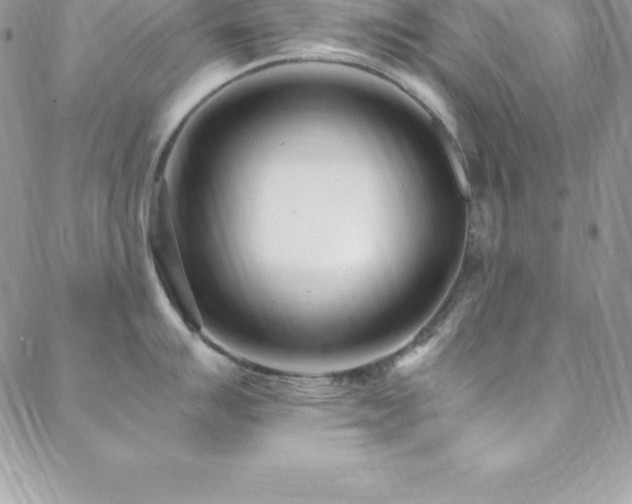 X0000088841007200706071415