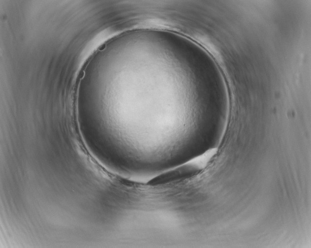 X0000088841008200706071415