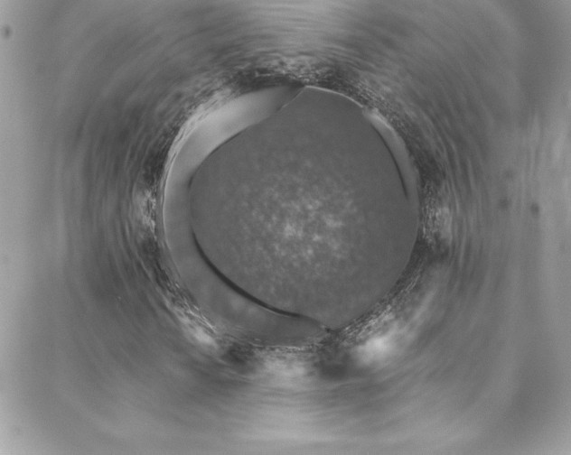 X0000088841010200706071414