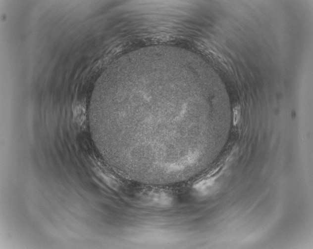 X0000088841011200706071414