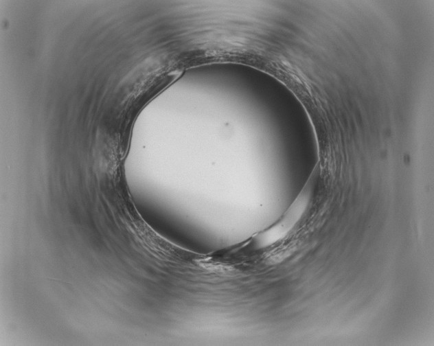 X0000088841012200706071414