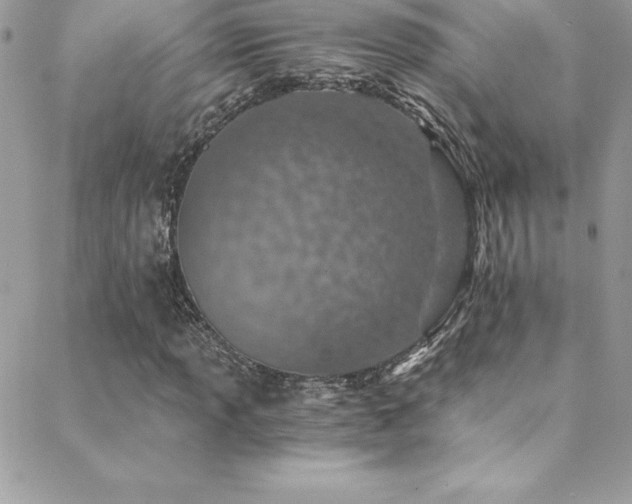 X0000088841013200706071414