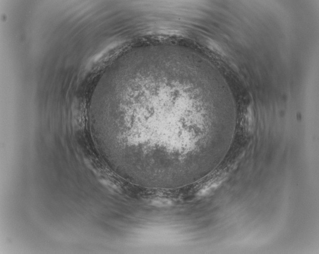 X0000088841014200706071414