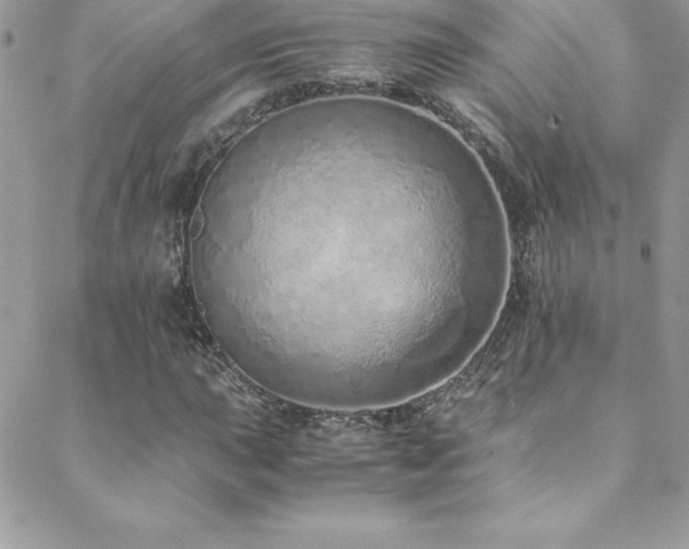 X0000088841015200706071415