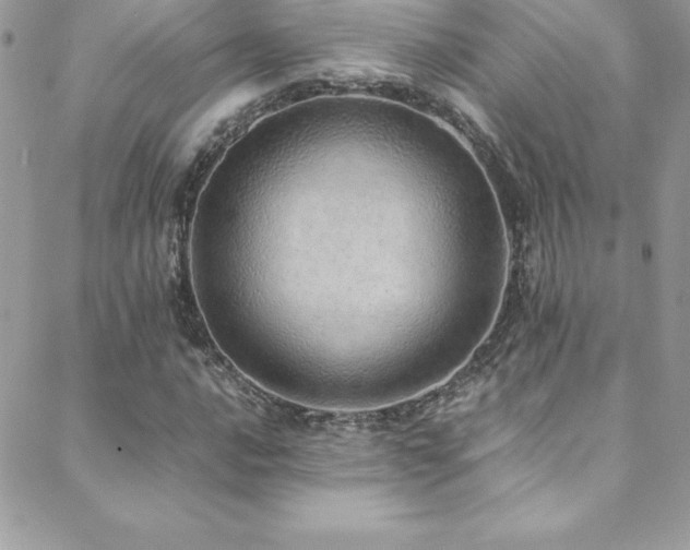 X0000088841016200706071415