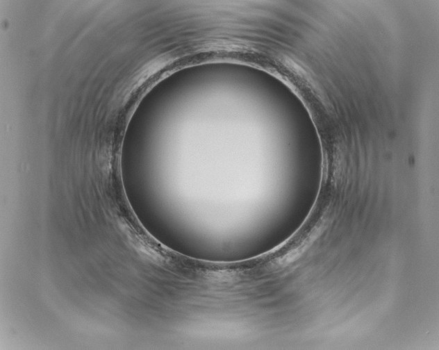 X0000088841017200706071415