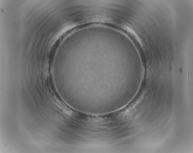 X0000088841019200706071415