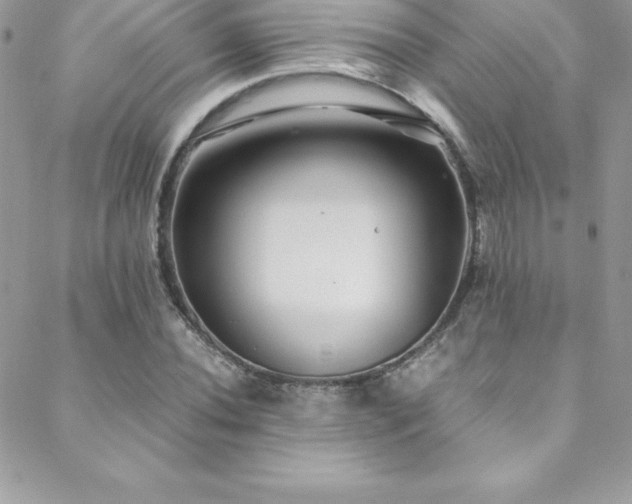 X0000088841020200706071415