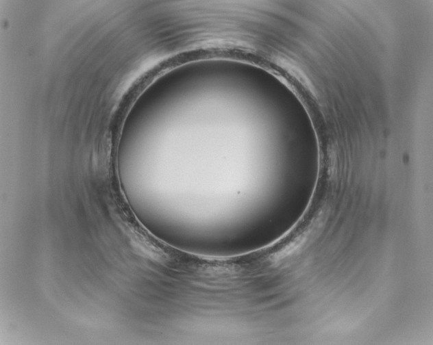 X0000088841021200706071415