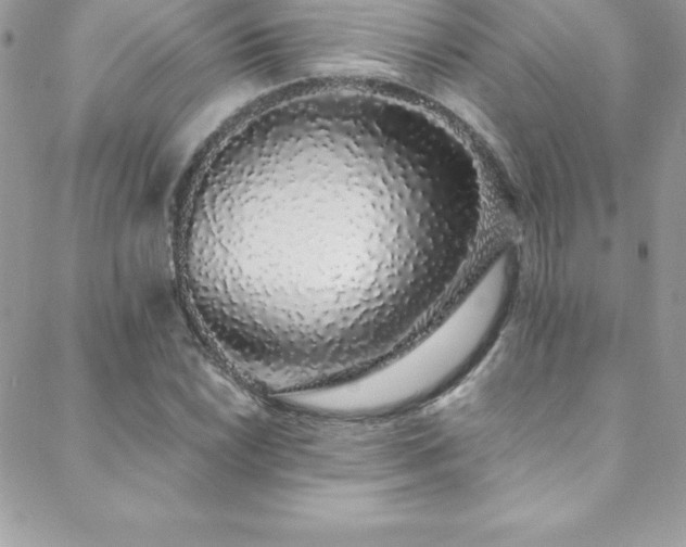 X0000088841022200706071415