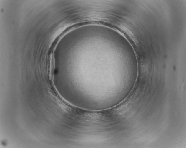 X0000088841023200706071415