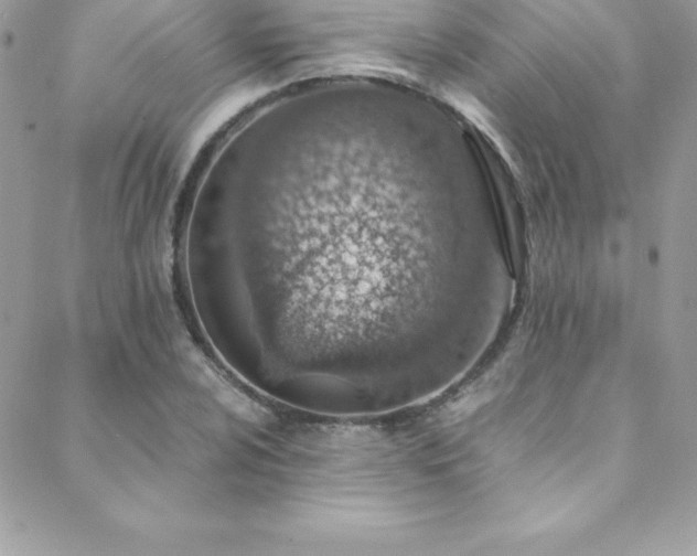 X0000088841024200706071415