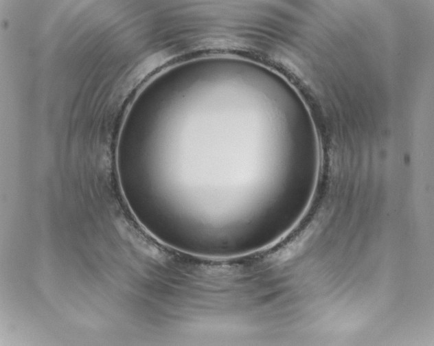 X0000088841025200706071415