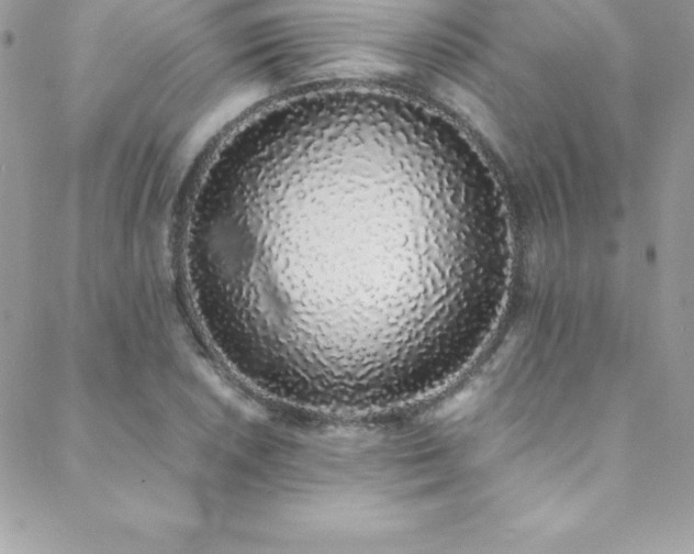 X0000088841026200706071415