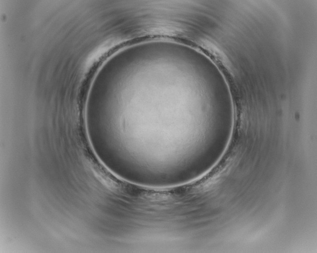 X0000088841027200706071415