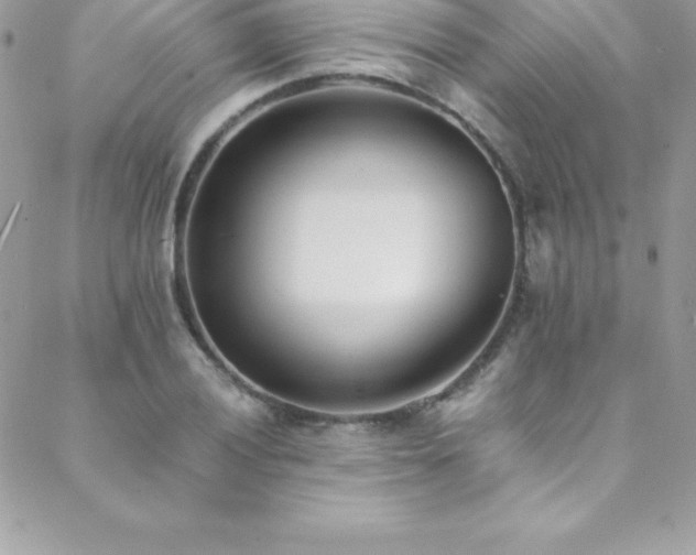 X0000088841028200706071415