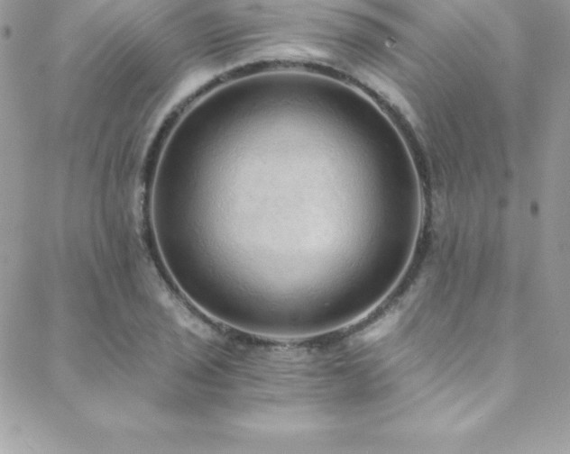 X0000088841029200706071415