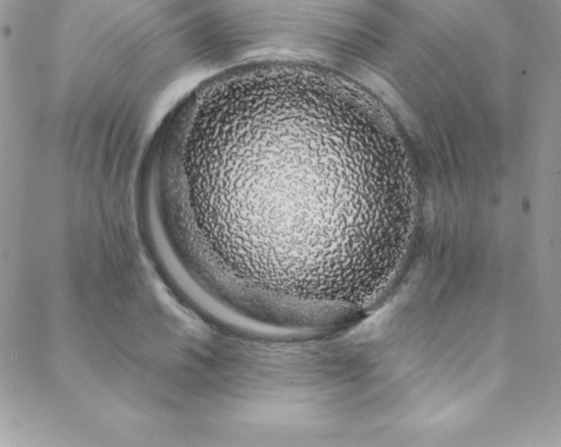 X0000088841030200706071415