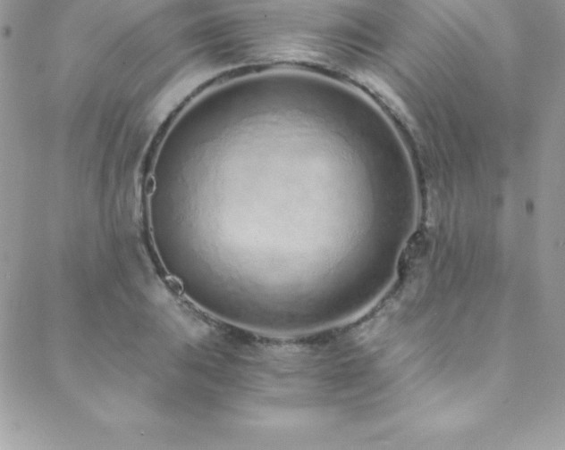 X0000088841031200706071415