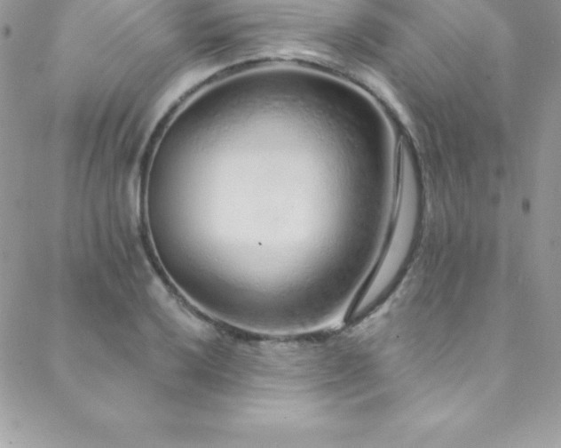 X0000088841032200706071415