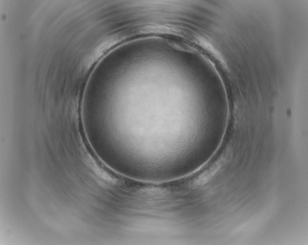 X0000088841033200706071415