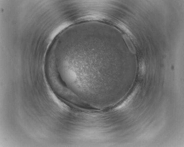 X0000088841034200706071415