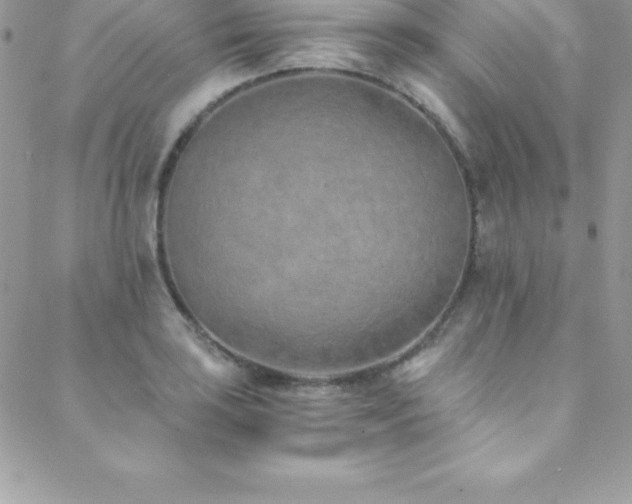 X0000088841035200706071415