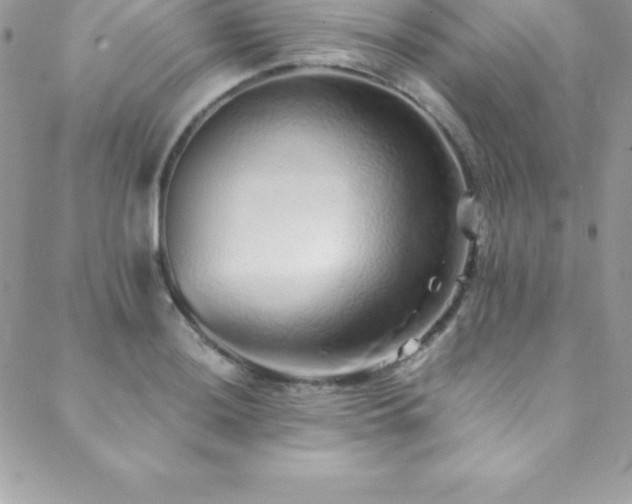 X0000088841036200706071415