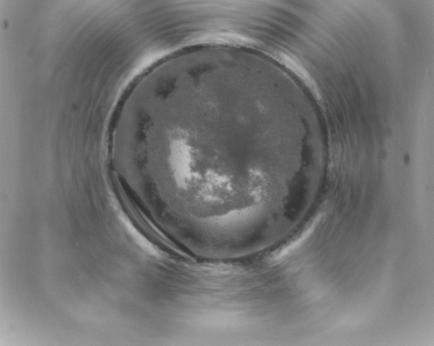 X0000088841037200706071415