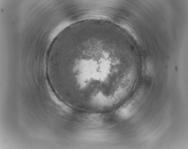 X0000088841038200706071415