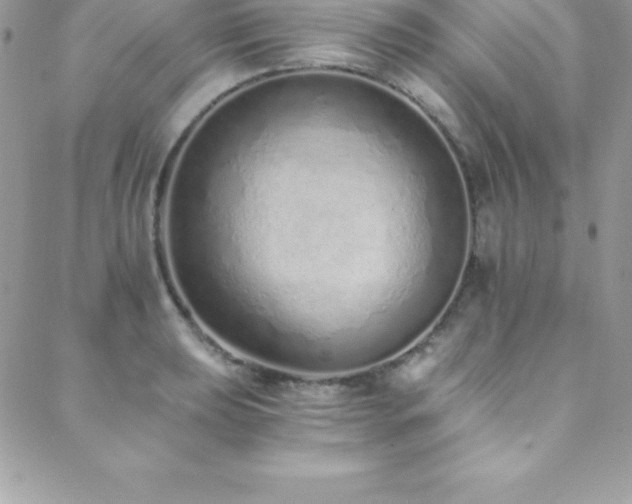 X0000088841039200706071415