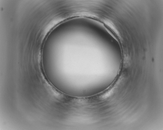 X0000088841040200706071415