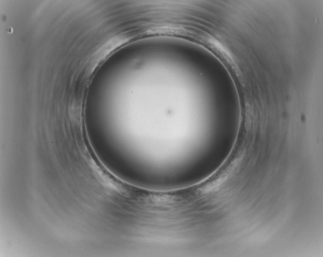 X0000088841041200706071415