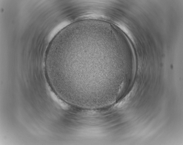 X0000088841042200706071415