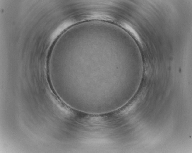 X0000088841043200706071415