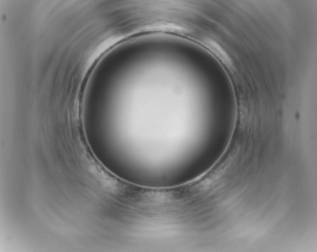 X0000088841044200706071415